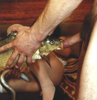Fish And Girls Fucking Sex - Fish Porn | World of Sexual Pleasures